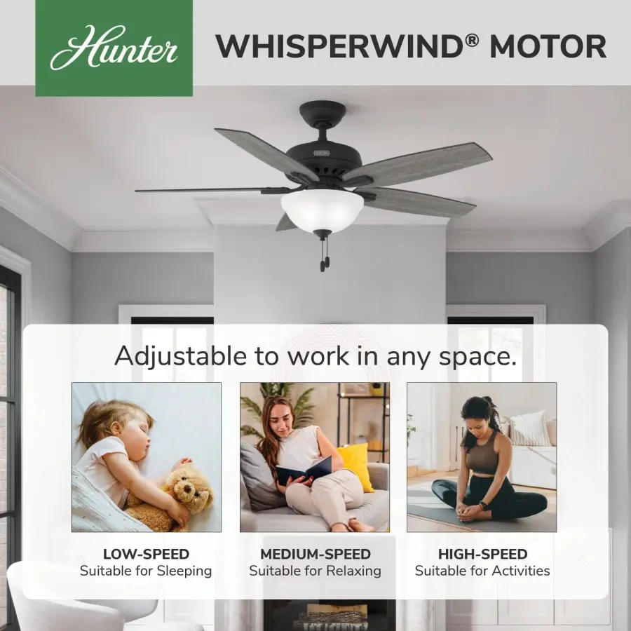 Newsome with Light 52 inch - Image 66