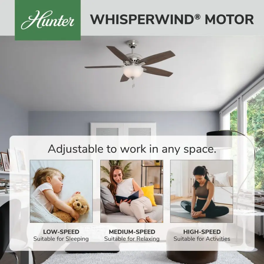 Newsome with Light 52 inch - Image 67