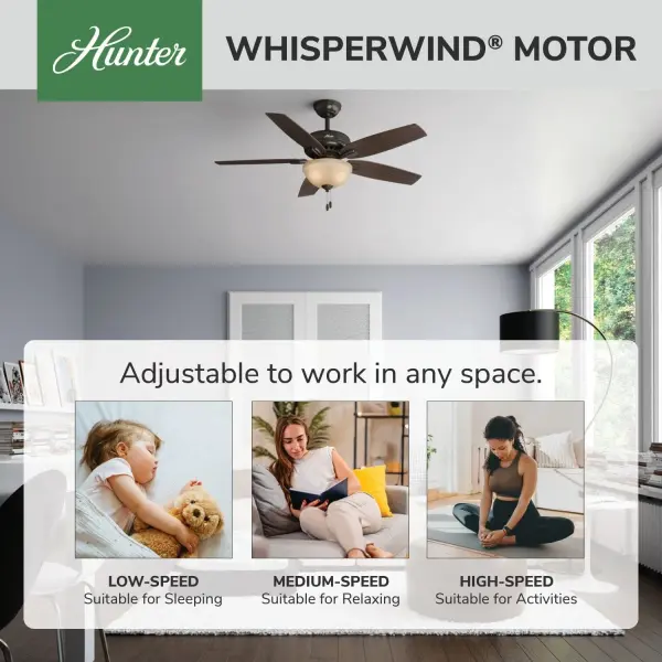 Newsome with Light 52 inch - Image 68