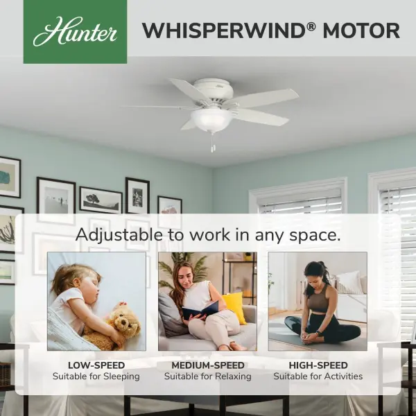 Newsome Low Profile with Light 52 inch - Image 68