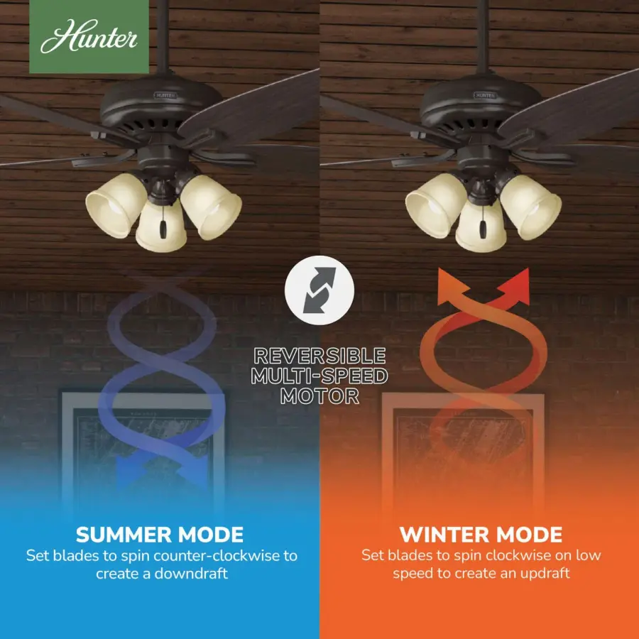 Newsome with 3 Lights 52 inch - Image 17