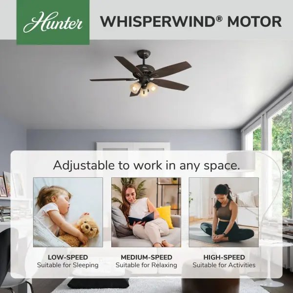 Newsome with 3 Lights 52 inch - Image 52