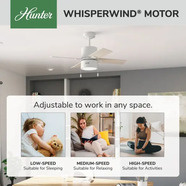 Beck with LED Light 42 inch - Image 50