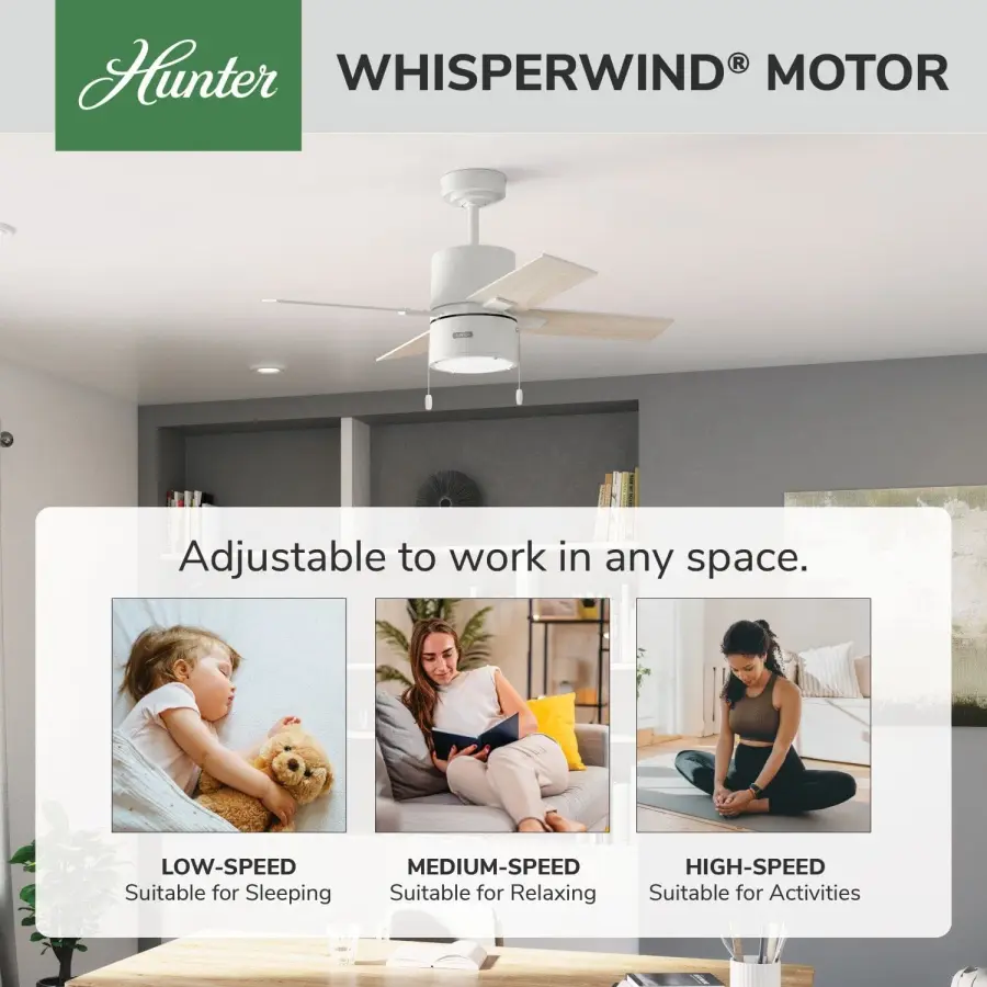 Beck with LED Light 42 inch - Image 50