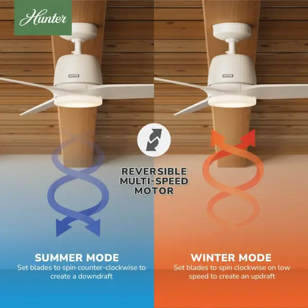 Malden Jasmine Roth Indoor 52inch with LED and Remote - Image 13