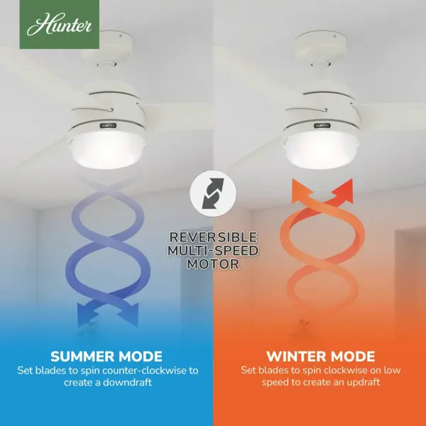 Midtown with LED Light 48 inch - Image 17