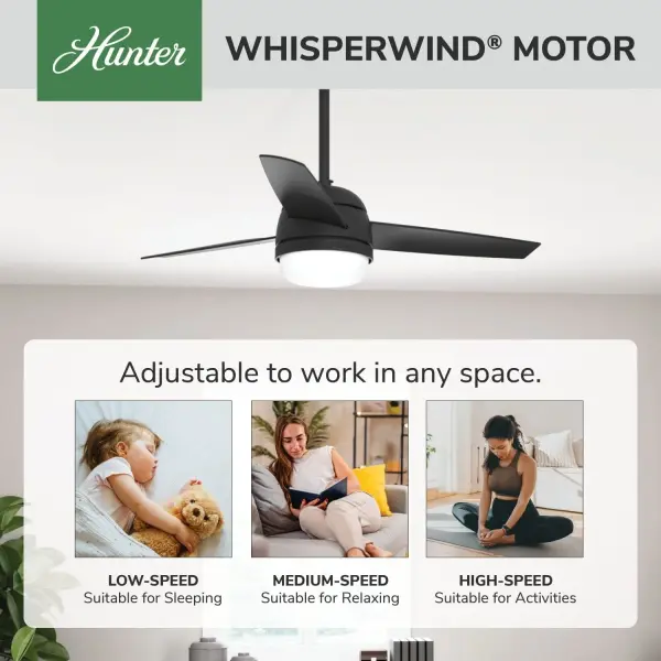 Midtown with LED Light 48 inch - Image 47