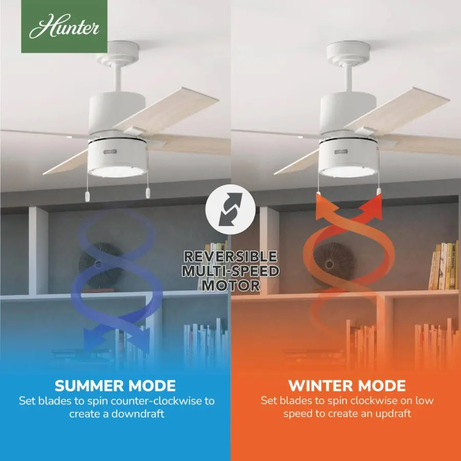 Beck with LED Light 52 inch - Image 14