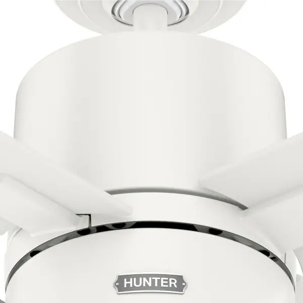 Beck with LED Light 52 inch - Image 29