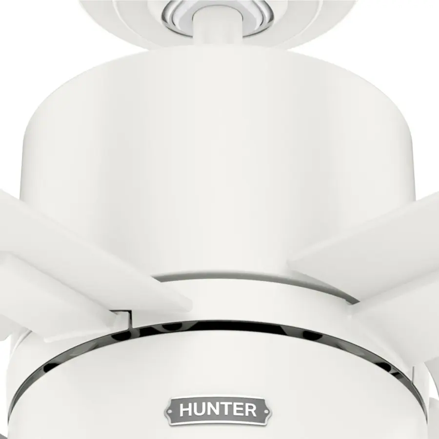 Beck with LED Light 52 inch - Image 29