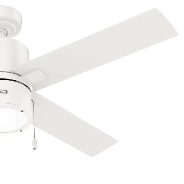 Beck with LED Light 52 inch - Image 35