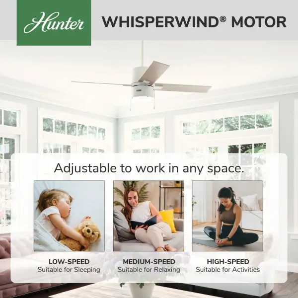 Beck with LED Light 52 inch - Image 42