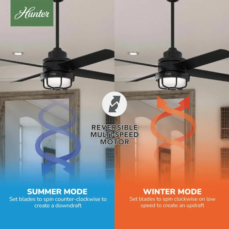 Searow Outdoor with LED Light 54 inch - Image 12