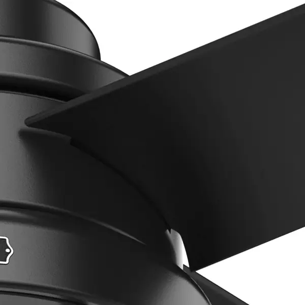 Searow Outdoor with LED Light 54 inch - Image 22