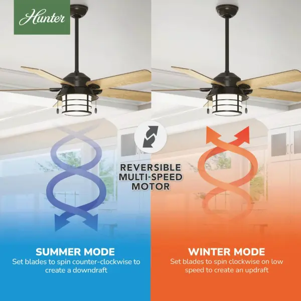 Key Biscayne Outdoor with Light 54 inch - Image 12