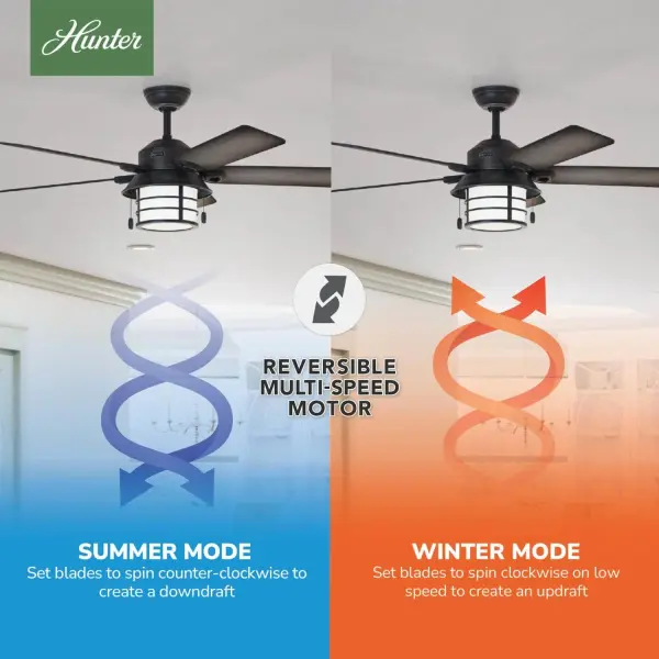 Key Biscayne Outdoor with Light 54 inch - Image 13