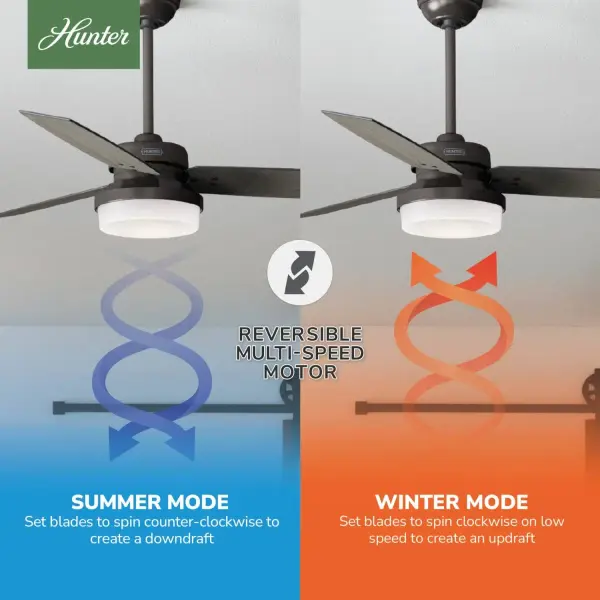 Sentinel with LED Light 52 inch - Image 17