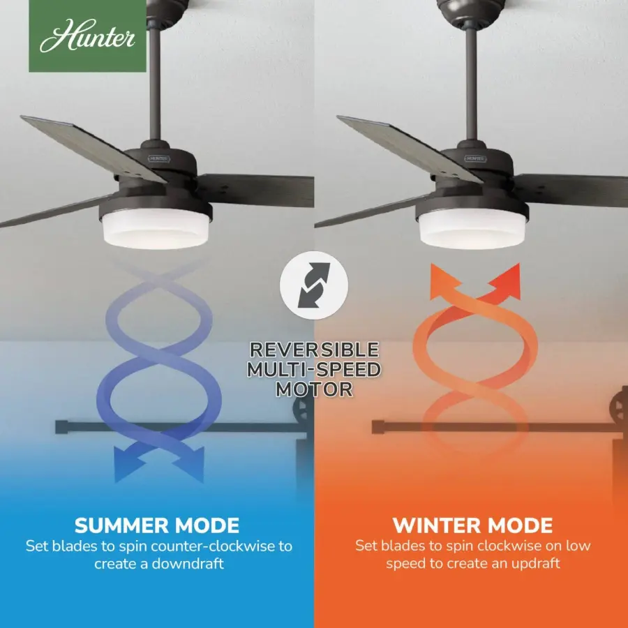 Sentinel with LED Light 52 inch - Image 17