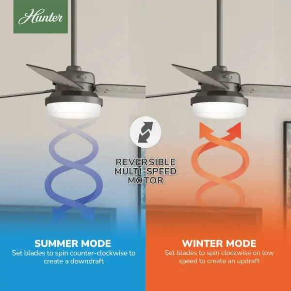 Sentinel with LED Light 52 inch - Image 18