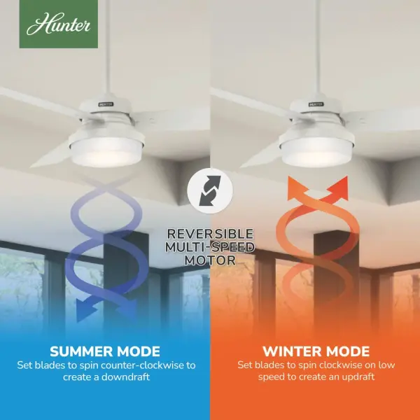 Sentinel with LED Light 52 inch - Image 19