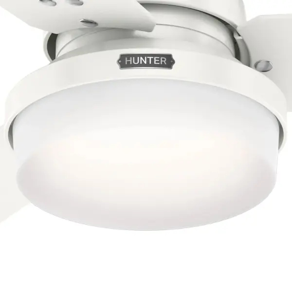 Sentinel with LED Light 52 inch - Image 35