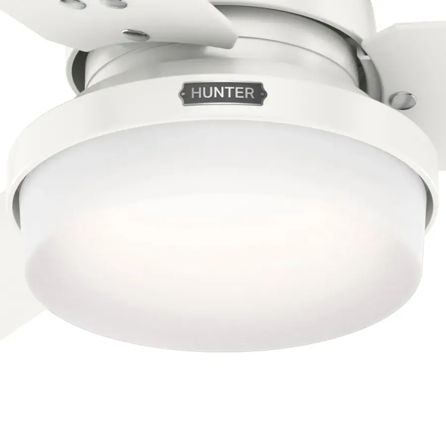 Sentinel with LED Light 52 inch - Image 35