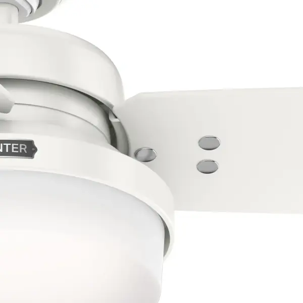 Sentinel with LED Light 52 inch - Image 39