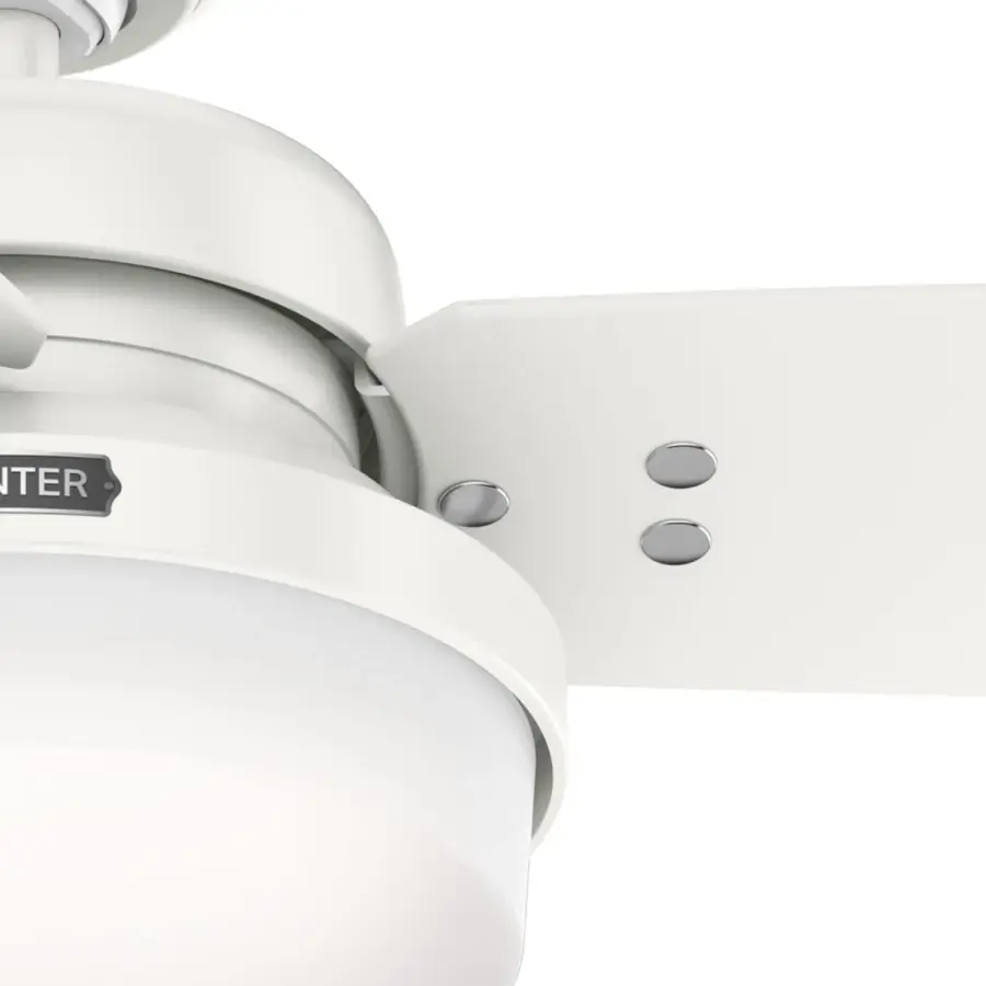 Sentinel with LED Light 52 inch - Image 39