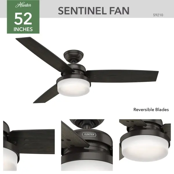 Sentinel with LED Light 52 inch - Image 5