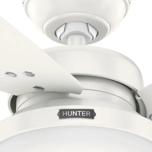 Sentinel with LED Light 52 inch - Image 43