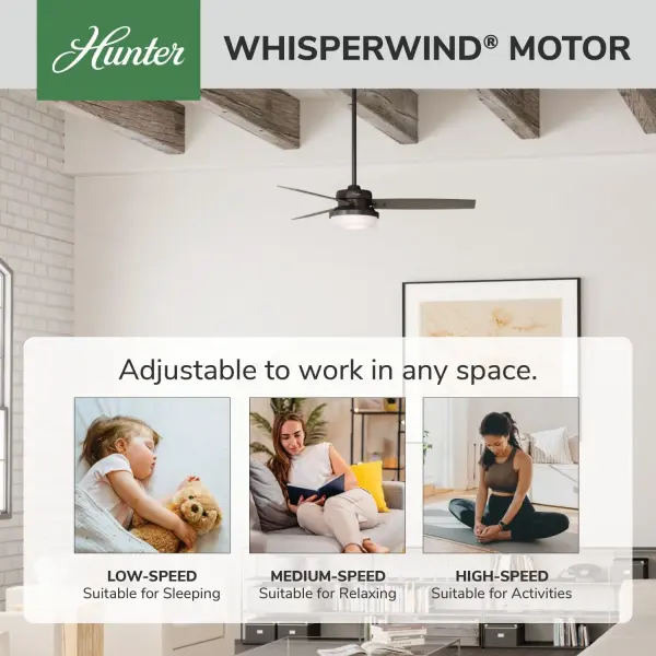 Sentinel with LED Light 52 inch - Image 58