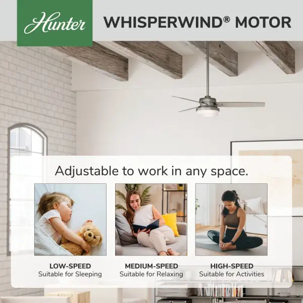 Sentinel with LED Light 52 inch - Image 59