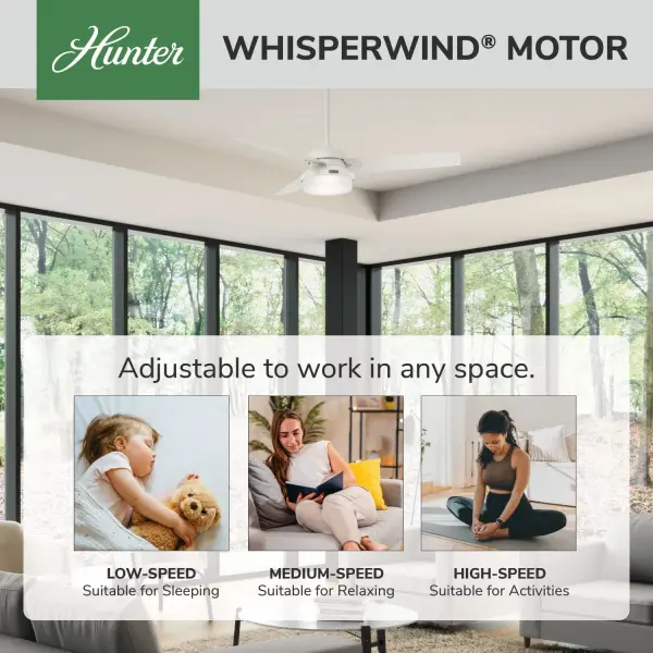 Sentinel with LED Light 52 inch - Image 60