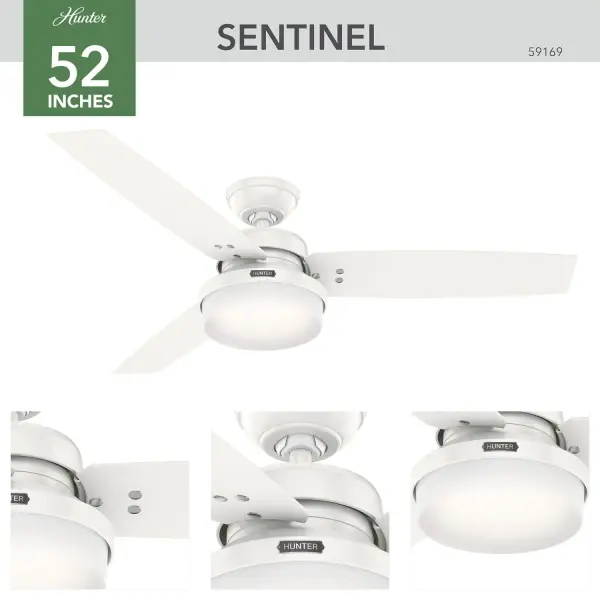 Sentinel with LED Light 52 inch - Image 8