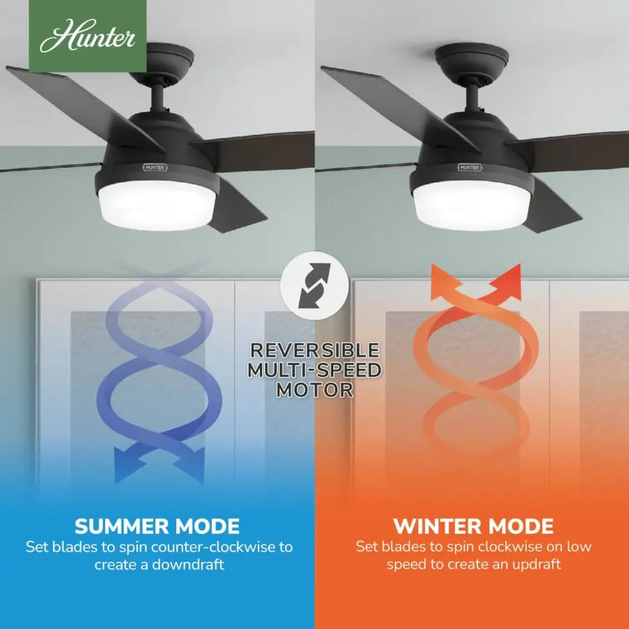 Dempsey with Light 52 inch - Image 24