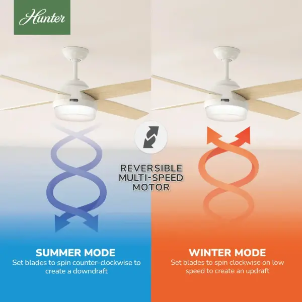 Dempsey with Light 52 inch - Image 25