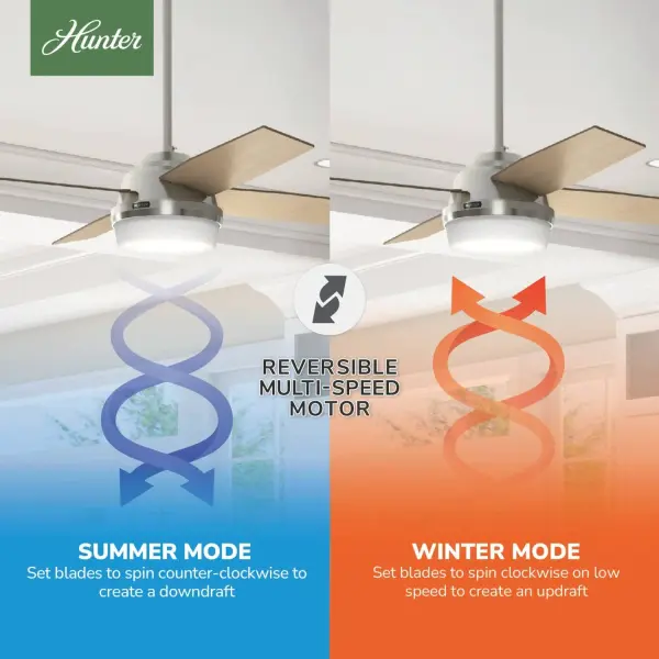 Dempsey with Light 52 inch - Image 26