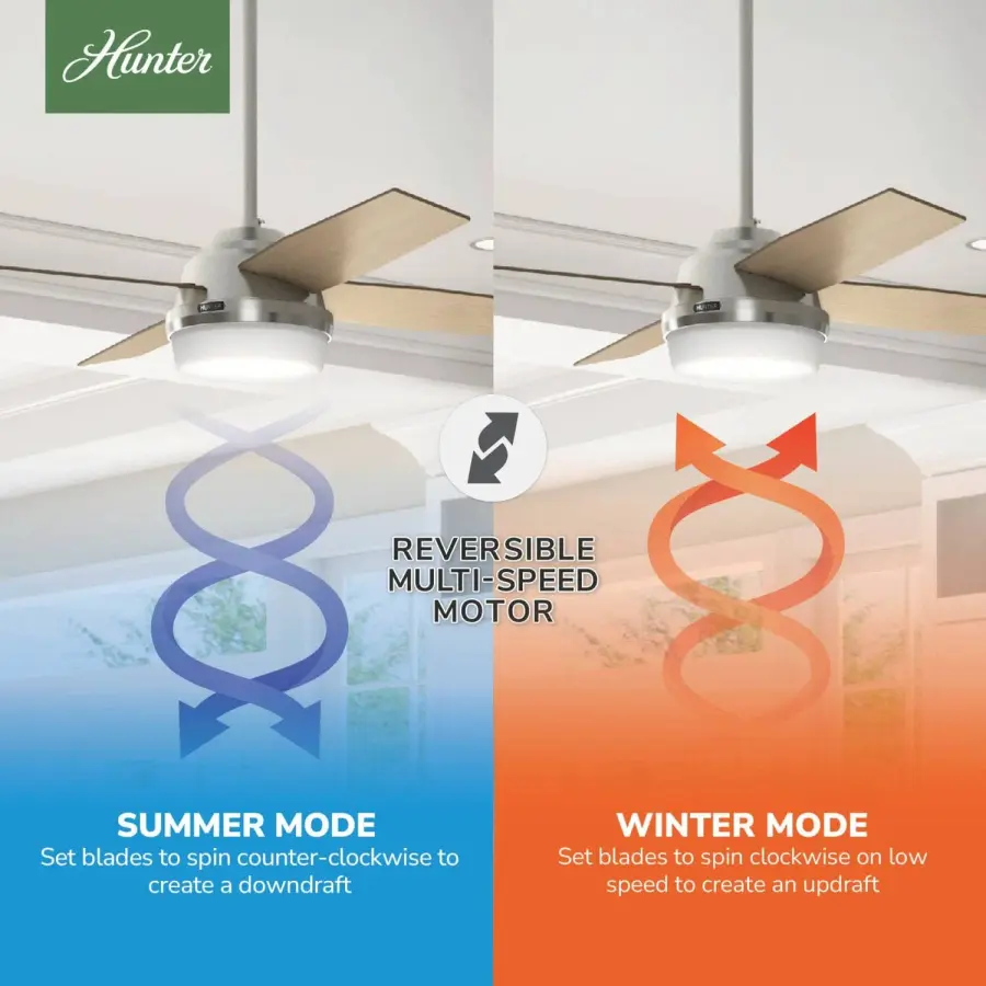 Dempsey with Light 52 inch - Image 26