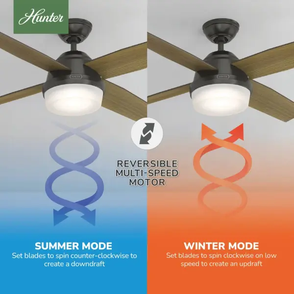 Dempsey with Light 52 inch - Image 27