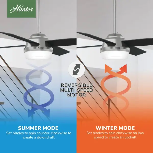 Dempsey with Light 52 inch - Image 28