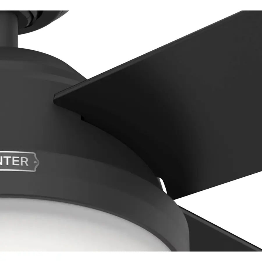 Dempsey with Light 52 inch - Image 49