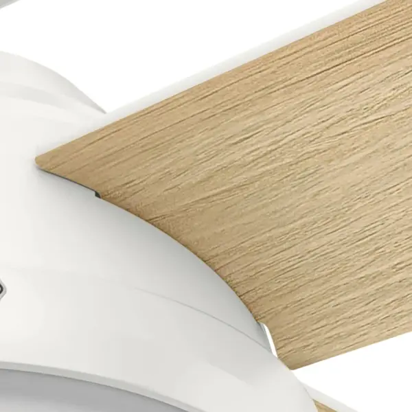 Dempsey with Light 52 inch - Image 50