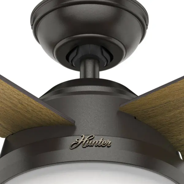 Dempsey with Light 52 inch - Image 57