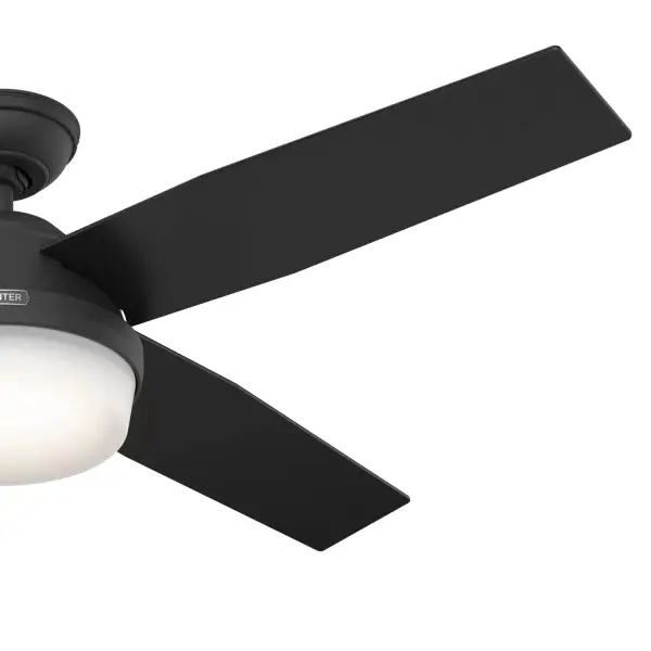 Dempsey with Light 52 inch - Image 66