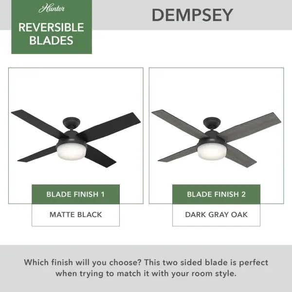 Dempsey with Light 52 inch - Image 81