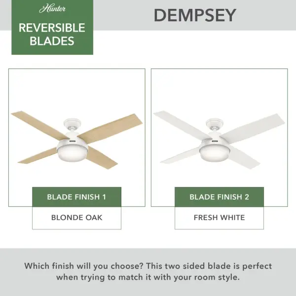 Dempsey with Light 52 inch - Image 82