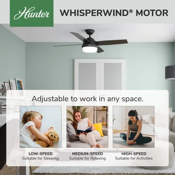 Dempsey with Light 52 inch - Image 83