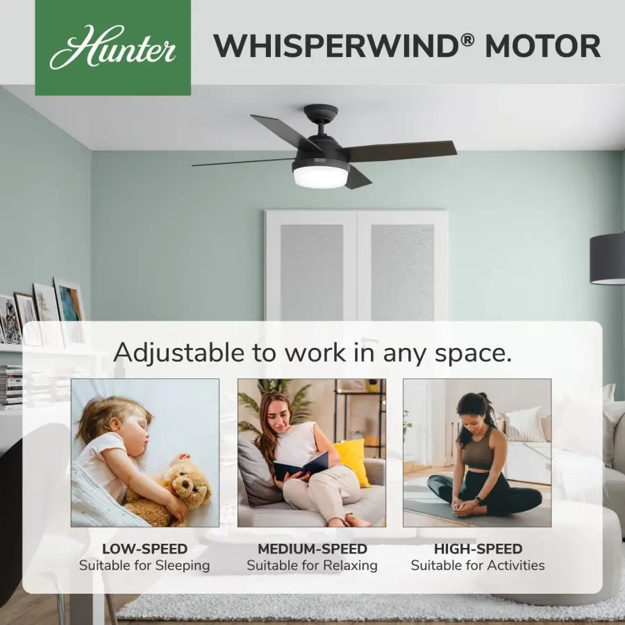 Dempsey with Light 52 inch - Image 83