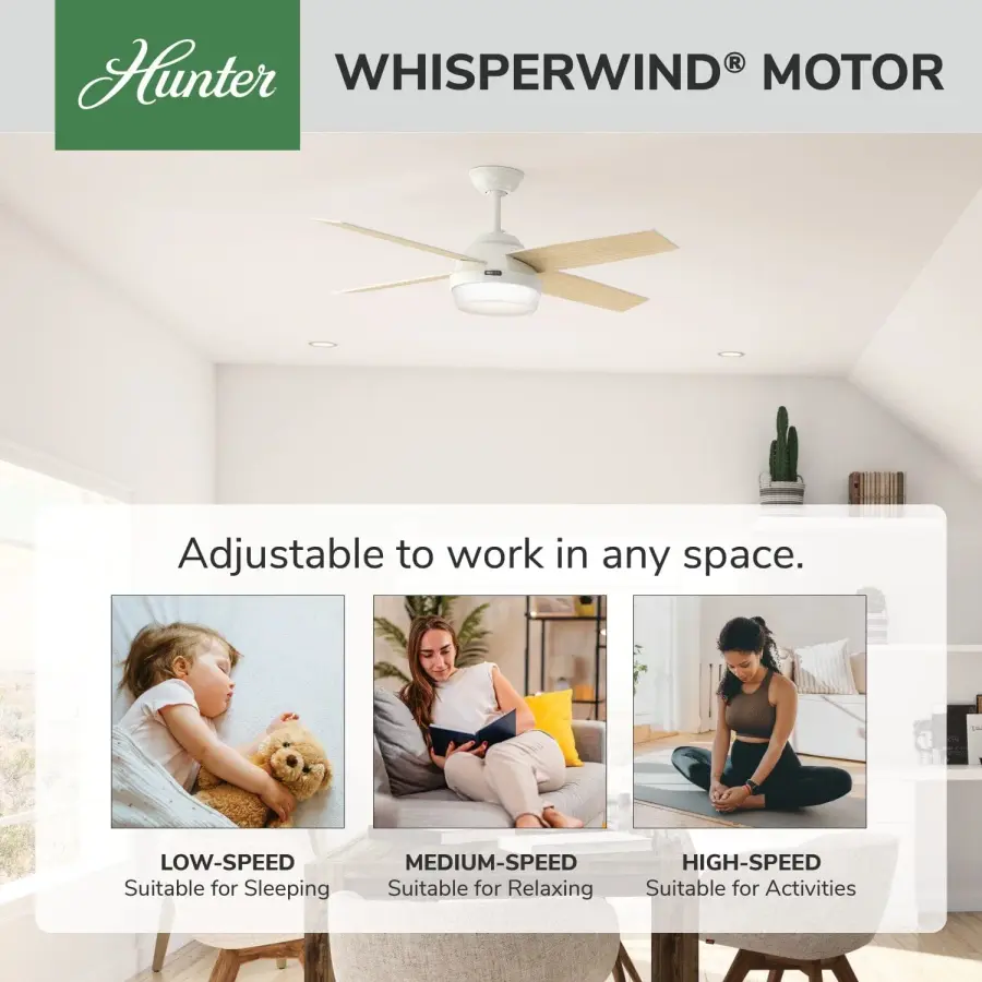 Dempsey with Light 52 inch - Image 84