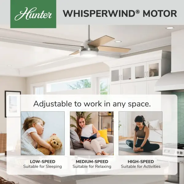 Dempsey with Light 52 inch - Image 85